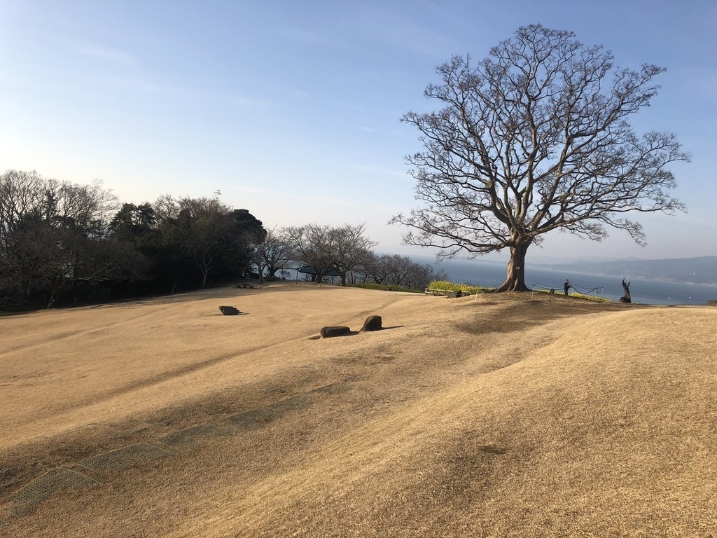 f:id:akiranngo:20190224175256j:plain