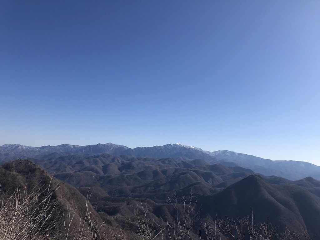 f:id:akiranngo:20190309203708j:plain