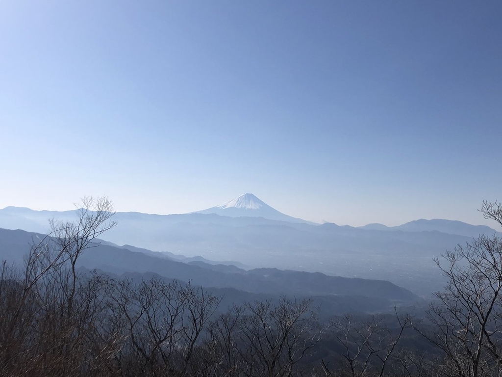 f:id:akiranngo:20190309203725j:plain