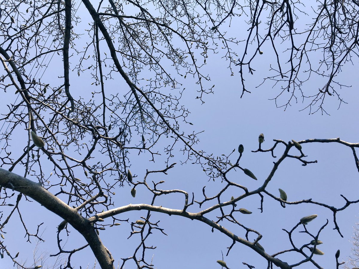 f:id:akiranngo:20190318192343j:plain f:id:akiranngo:20190318192343j:plain
