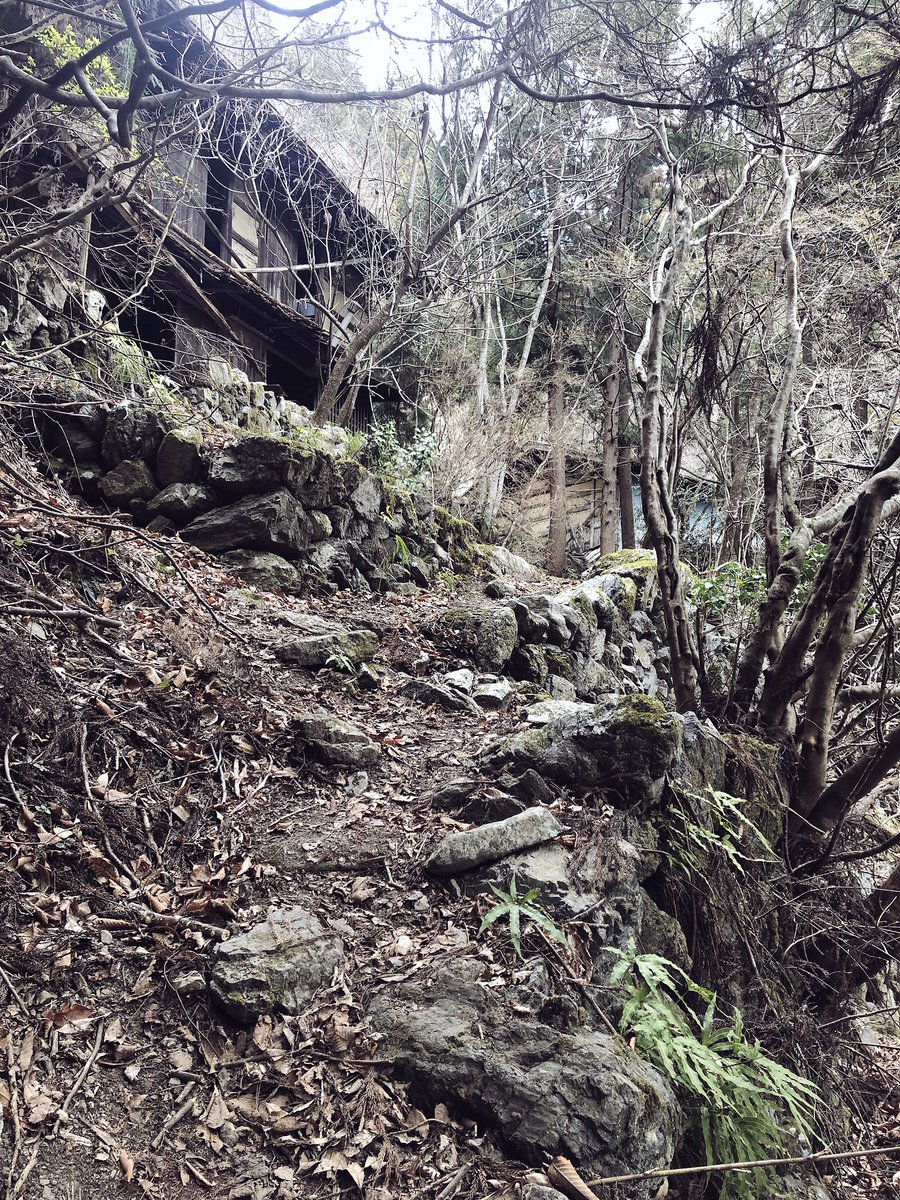 f:id:akiranngo:20190323023839j:plain f:id:akiranngo:20190323023839j:plain