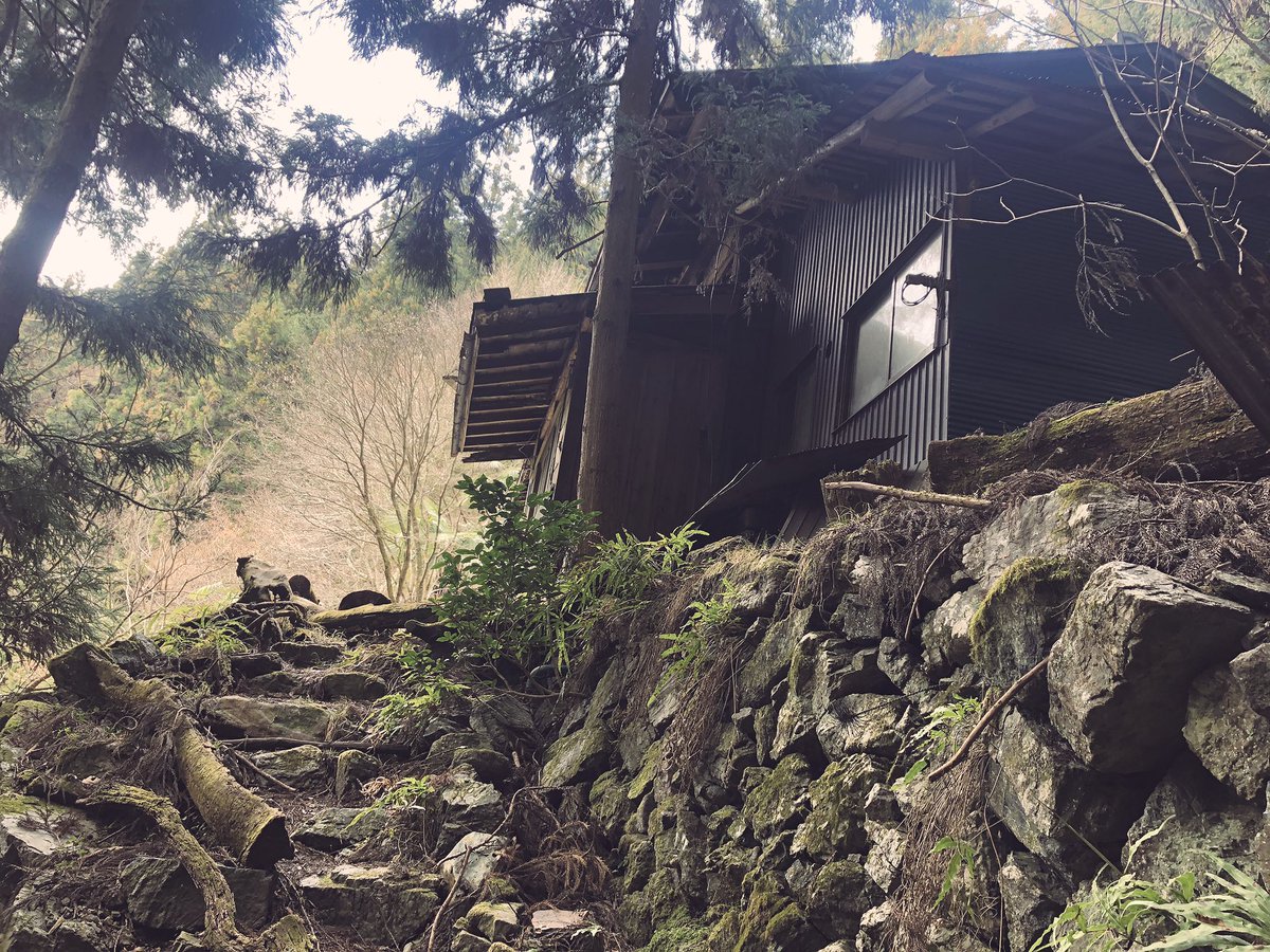 f:id:akiranngo:20190323023914j:plain f:id:akiranngo:20190323023914j:plain