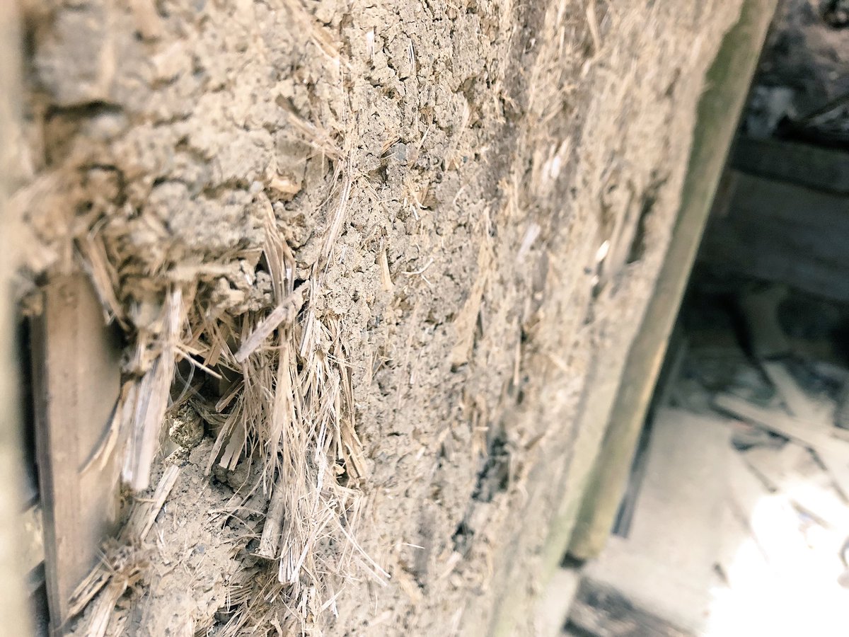 f:id:akiranngo:20190323023936j:plain f:id:akiranngo:20190323023936j:plain