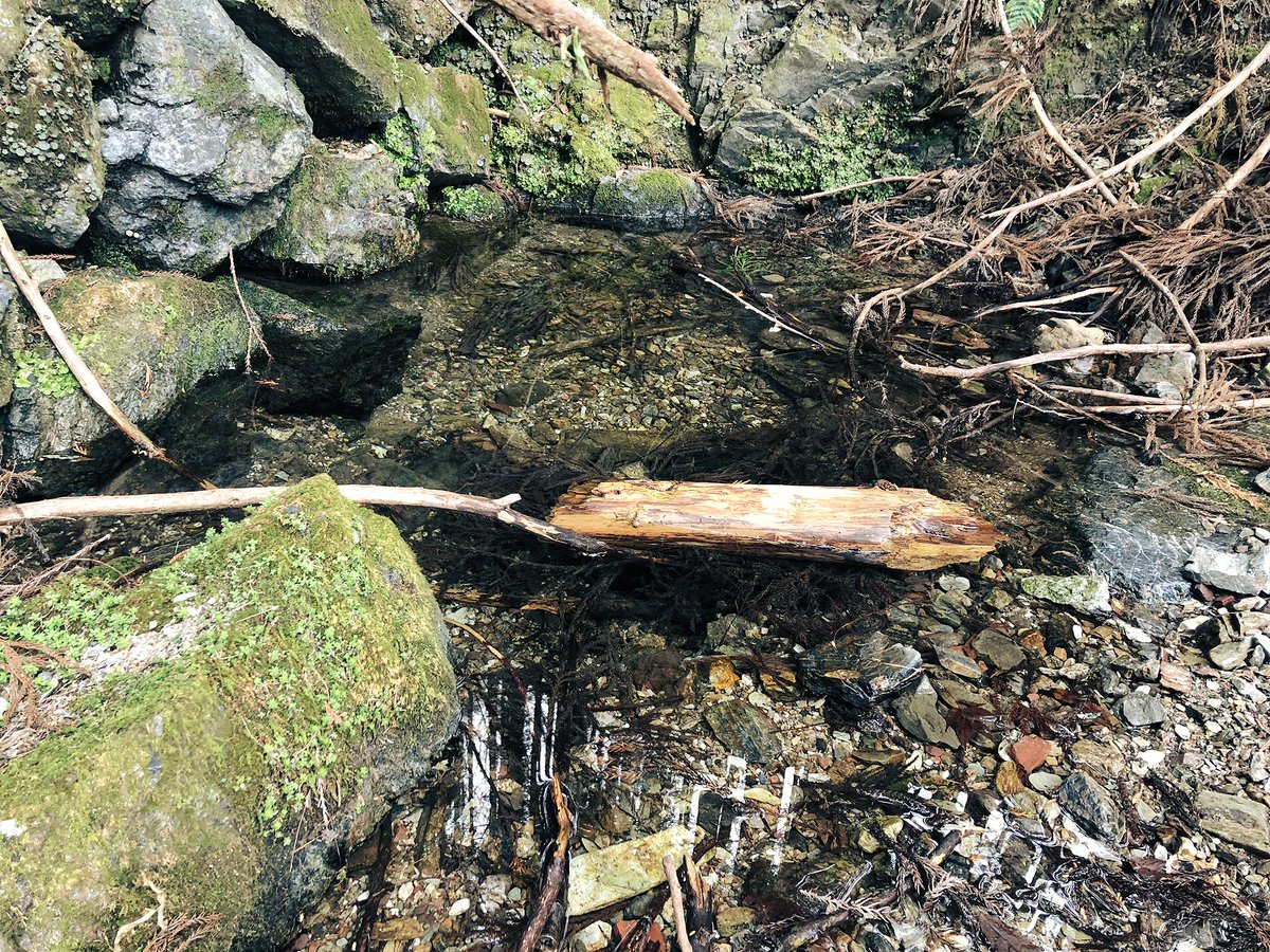 f:id:akiranngo:20190323024233j:plain f:id:akiranngo:20190323024233j:plain