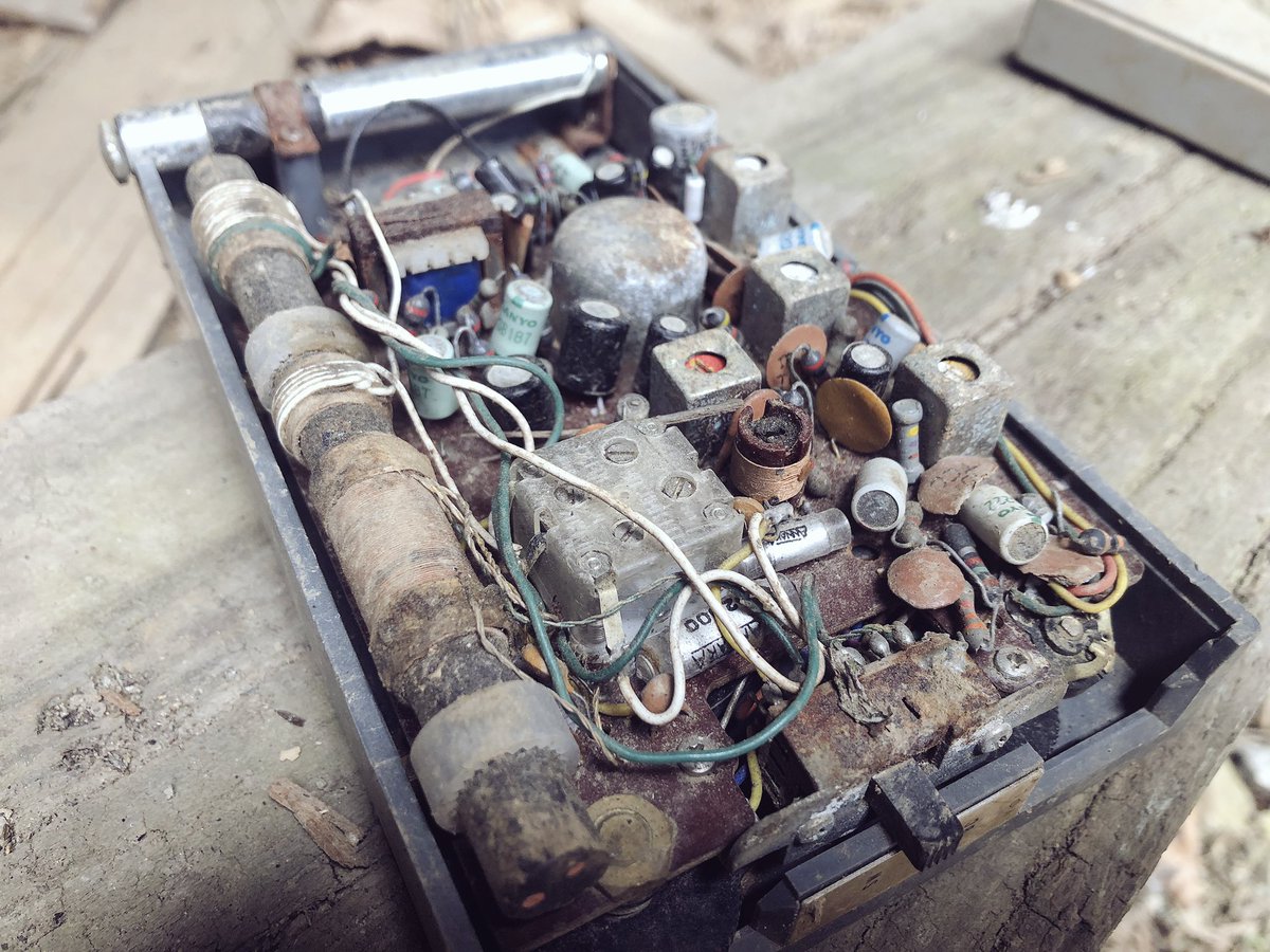 f:id:akiranngo:20190323024251j:plain f:id:akiranngo:20190323024251j:plain