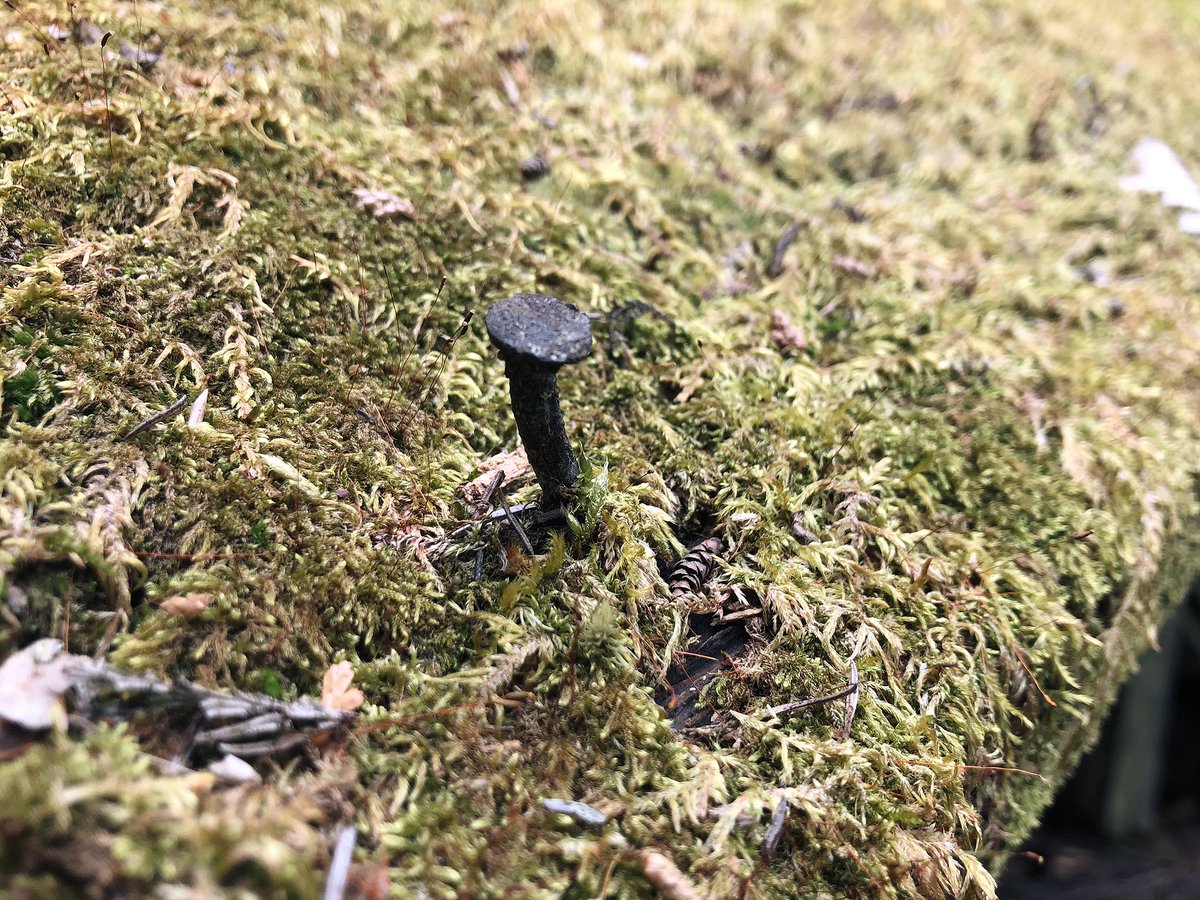 f:id:akiranngo:20190323024340j:plain f:id:akiranngo:20190323024340j:plain