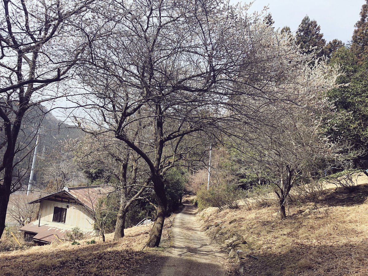 f:id:akiranngo:20190323024432j:plain f:id:akiranngo:20190323024432j:plain