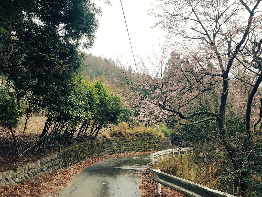f:id:akiranngo:20190401154414j:plain