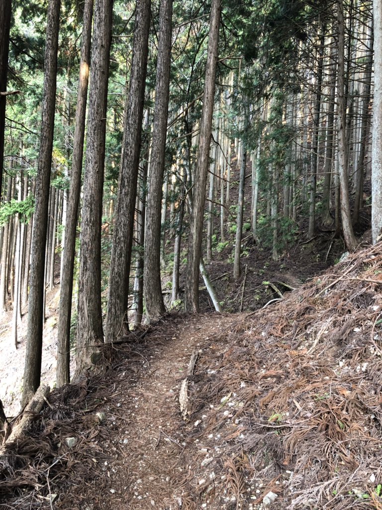 f:id:akiranngo:20190407201617j:plain f:id:akiranngo:20190407201617j:plain