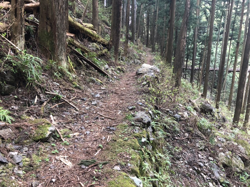 f:id:akiranngo:20190419222519j:plain