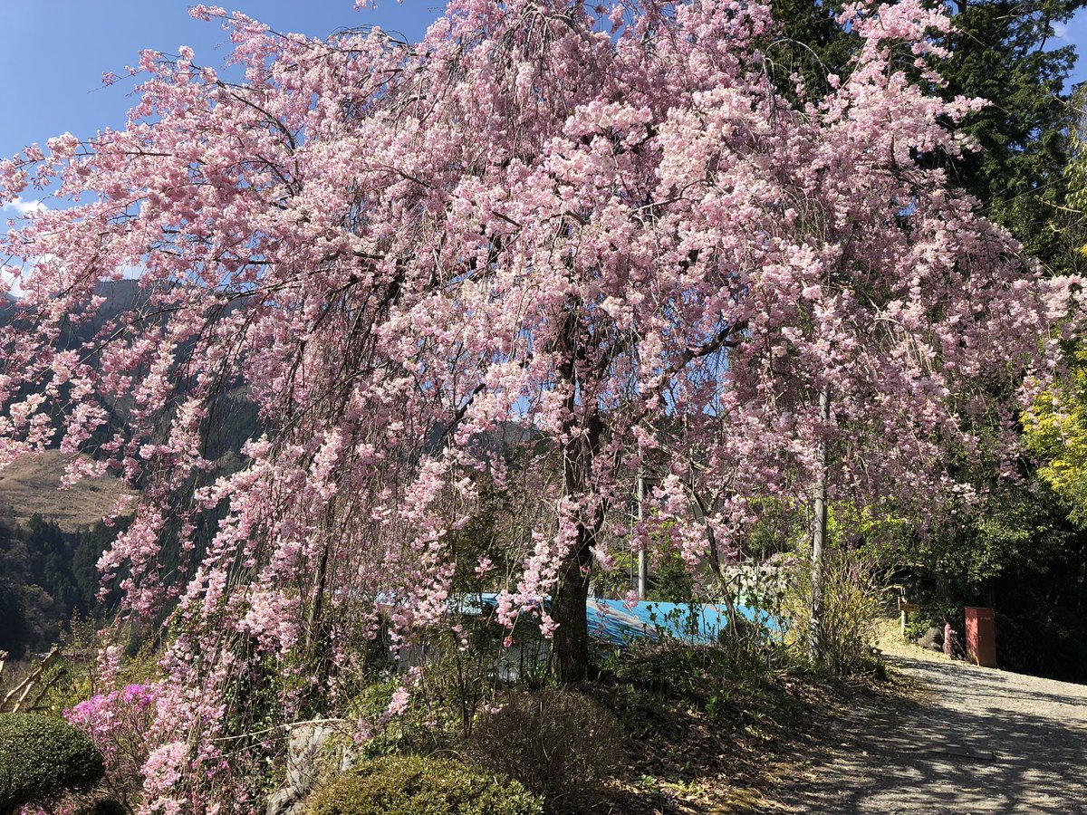f:id:akiranngo:20190420012027j:plain