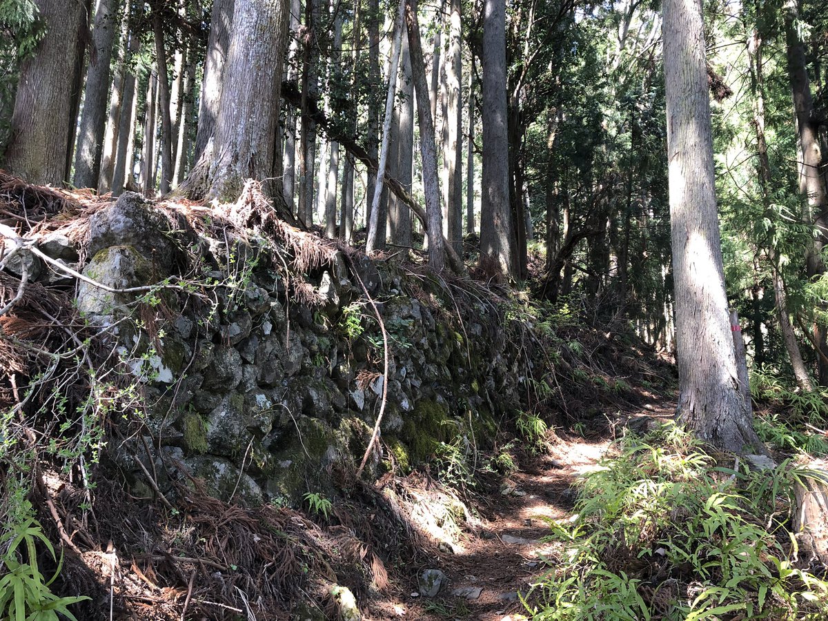 f:id:akiranngo:20190420012205j:plain