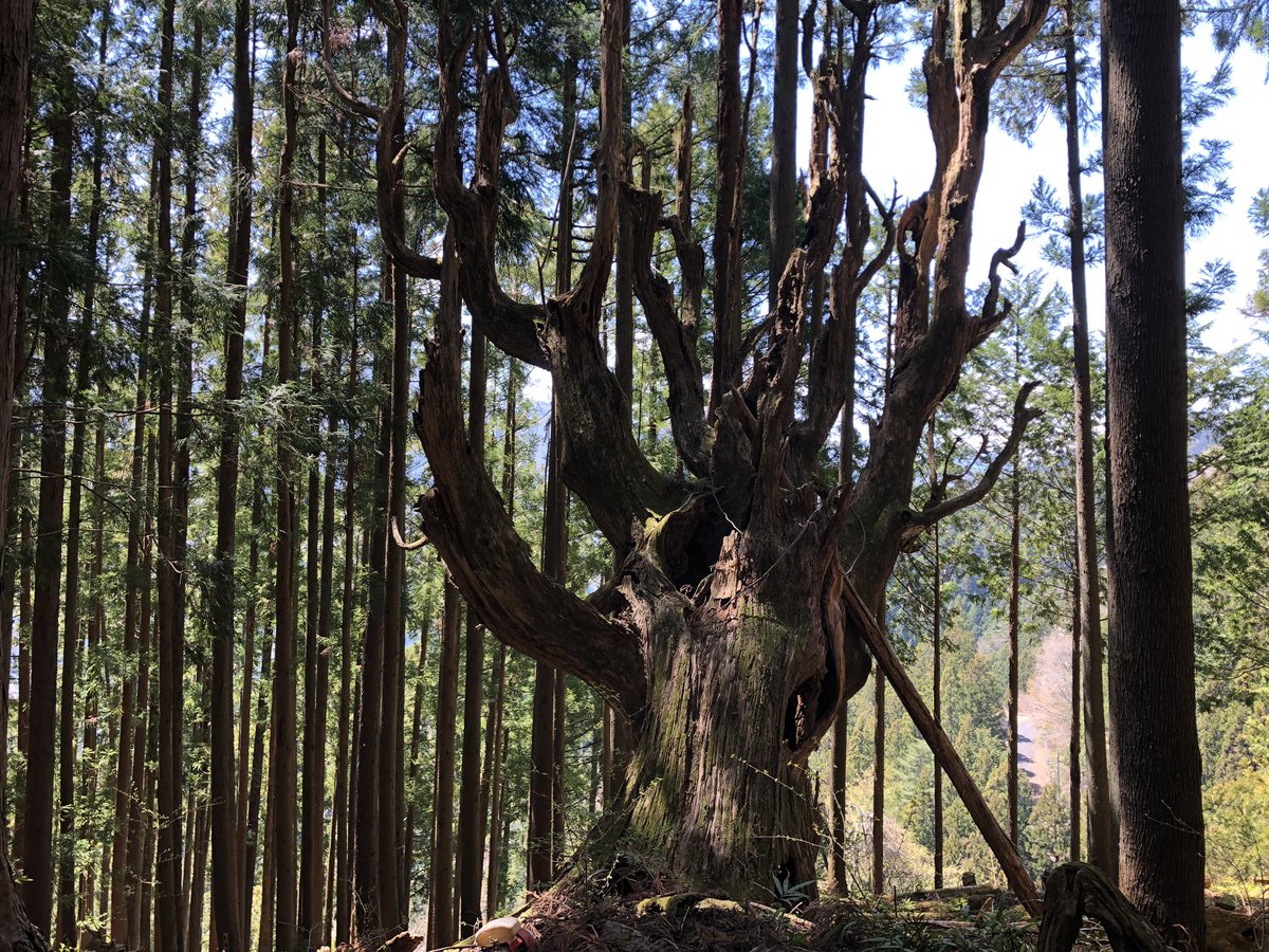 f:id:akiranngo:20190420012543j:plain