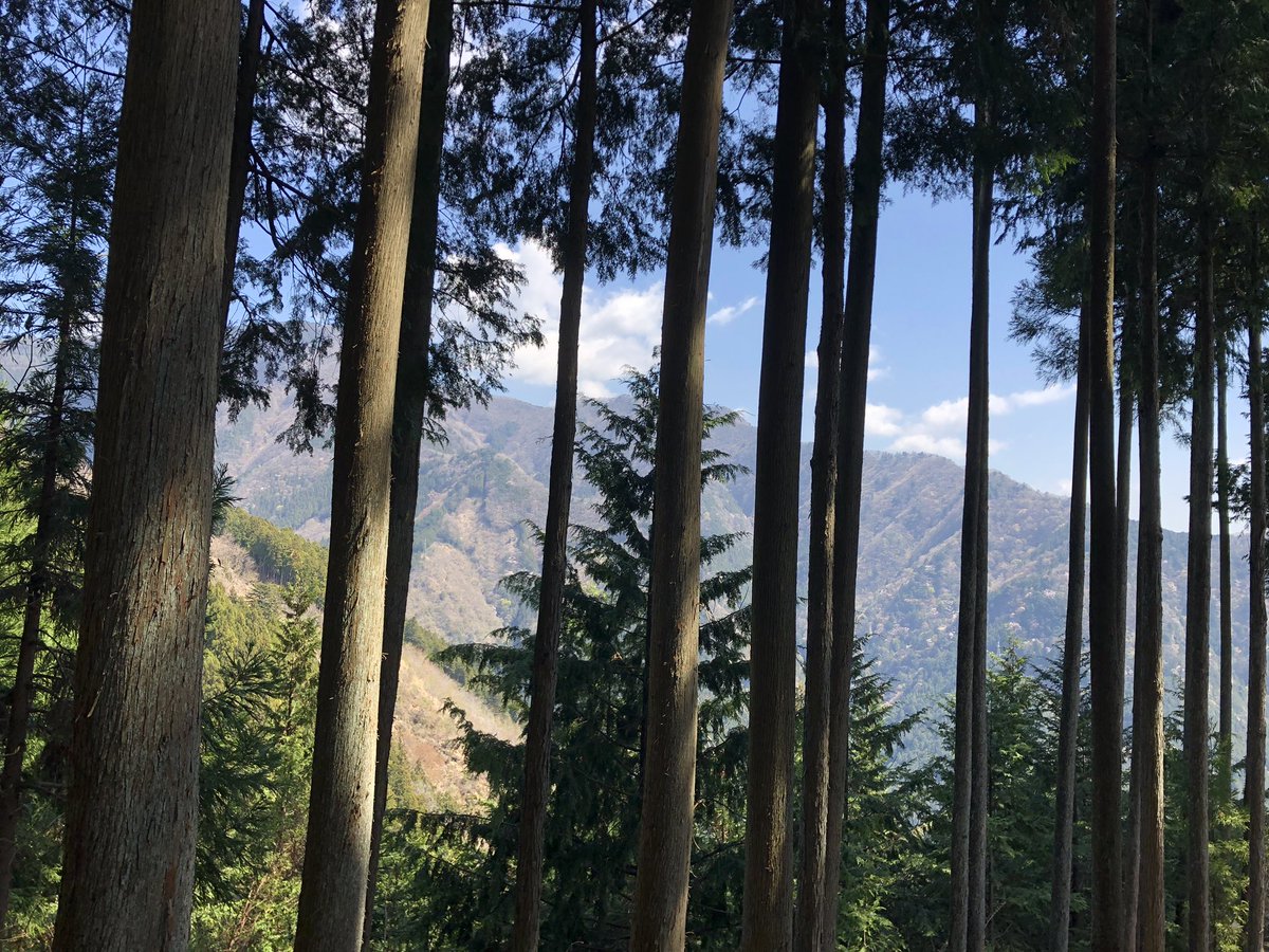 f:id:akiranngo:20190420012556j:plain