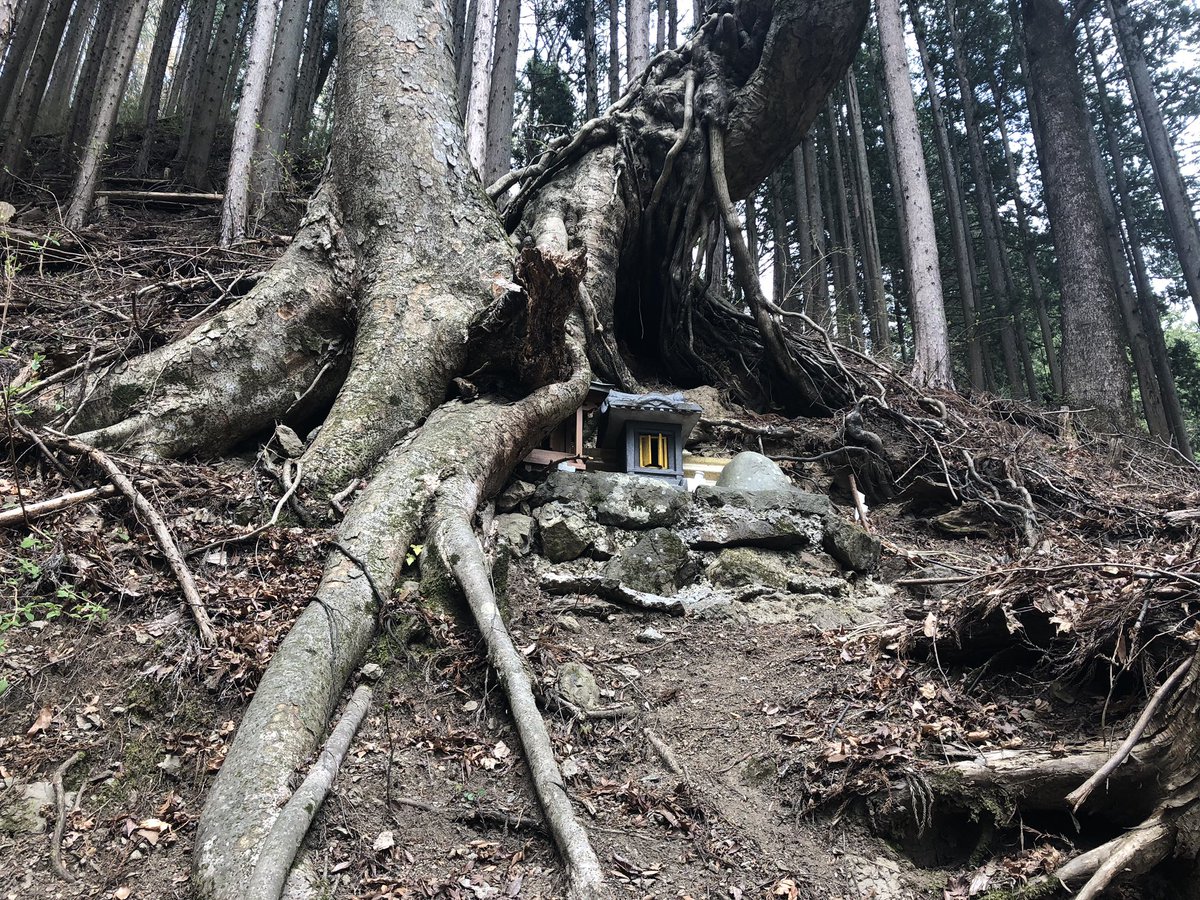 f:id:akiranngo:20190420141542j:plain