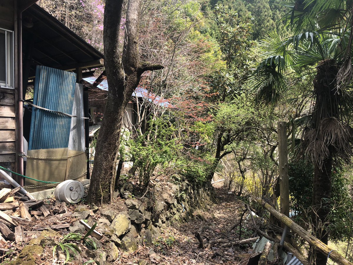 f:id:akiranngo:20190420141716j:plain