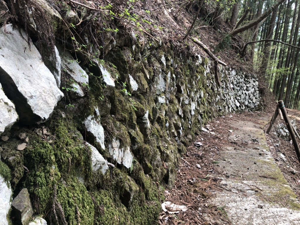 f:id:akiranngo:20190421003008j:plain