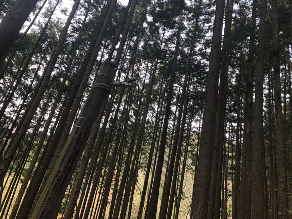 f:id:akiranngo:20190421053842j:plain