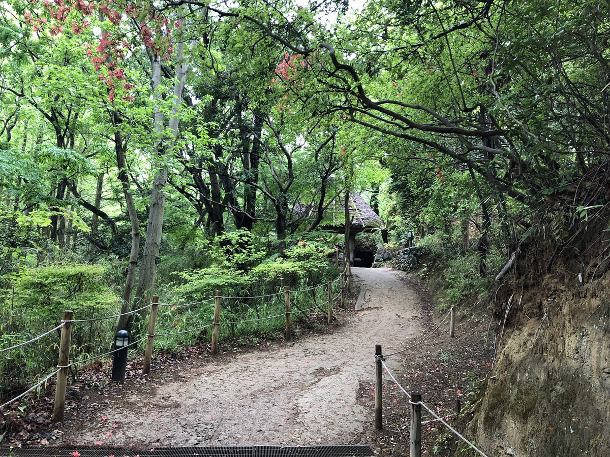 f:id:akiranngo:20190426180336j:plain f:id:akiranngo:20190426180336j:plain