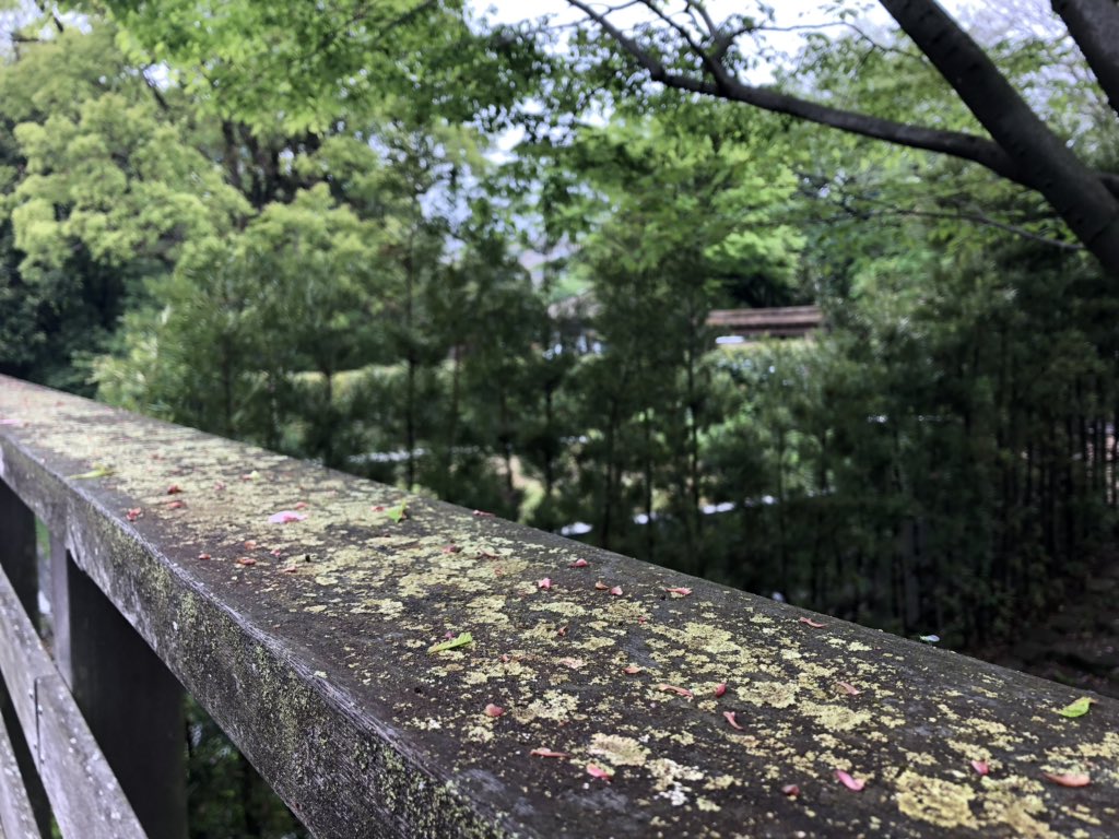 f:id:akiranngo:20190427095155j:plain