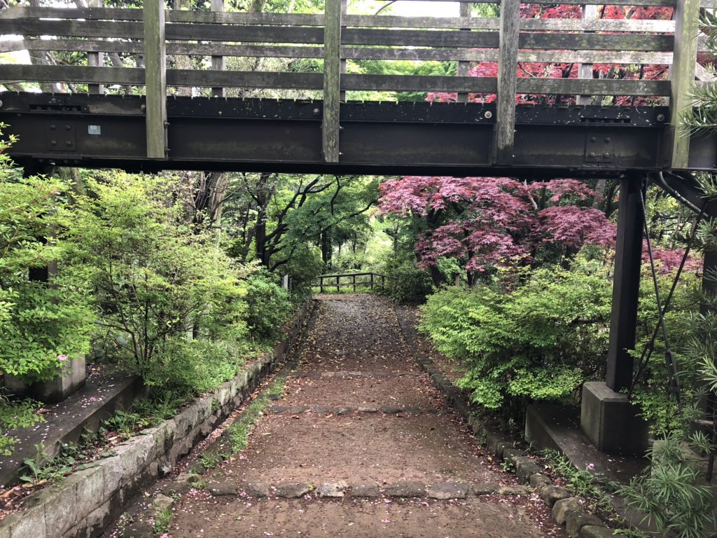 f:id:akiranngo:20190427095355j:plain