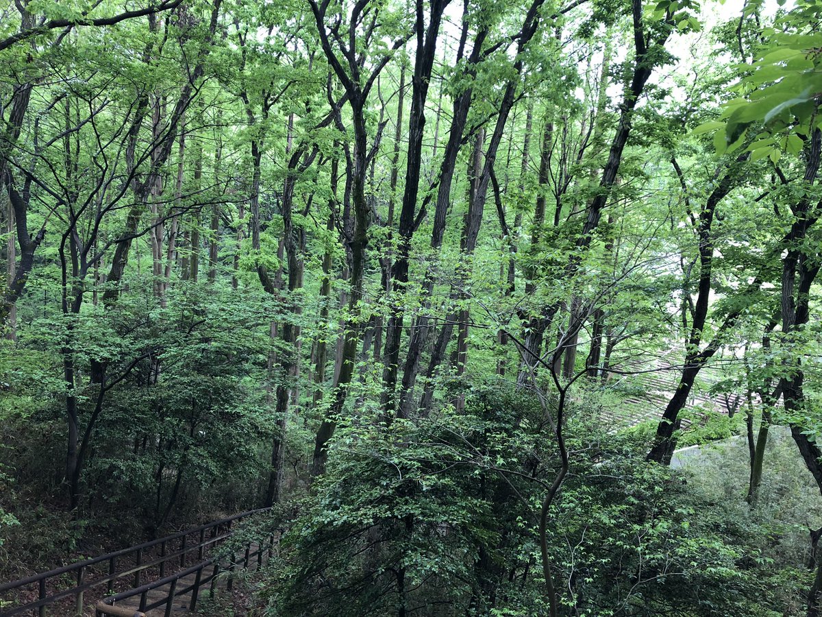 f:id:akiranngo:20190427095422j:plain