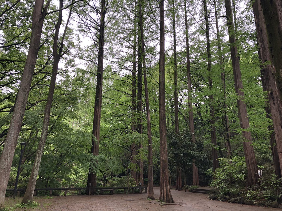f:id:akiranngo:20190427095445j:plain