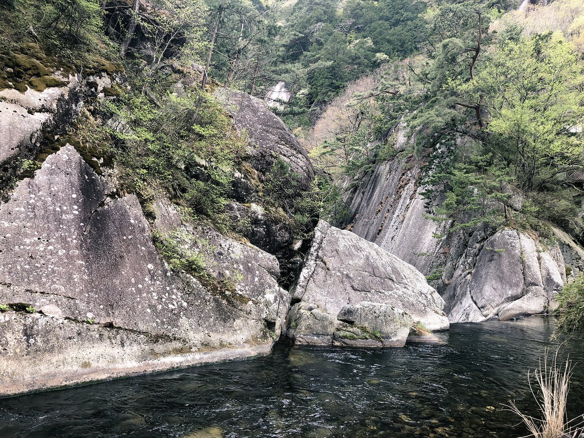 f:id:akiranngo:20190429232328j:plain f:id:akiranngo:20190429232328j:plain