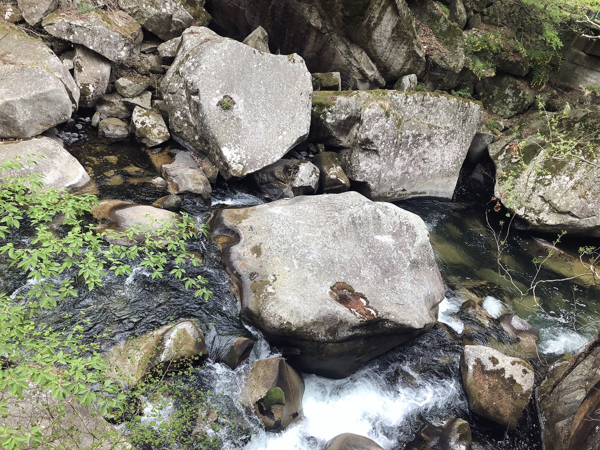 f:id:akiranngo:20190429232420j:plain f:id:akiranngo:20190429232420j:plain