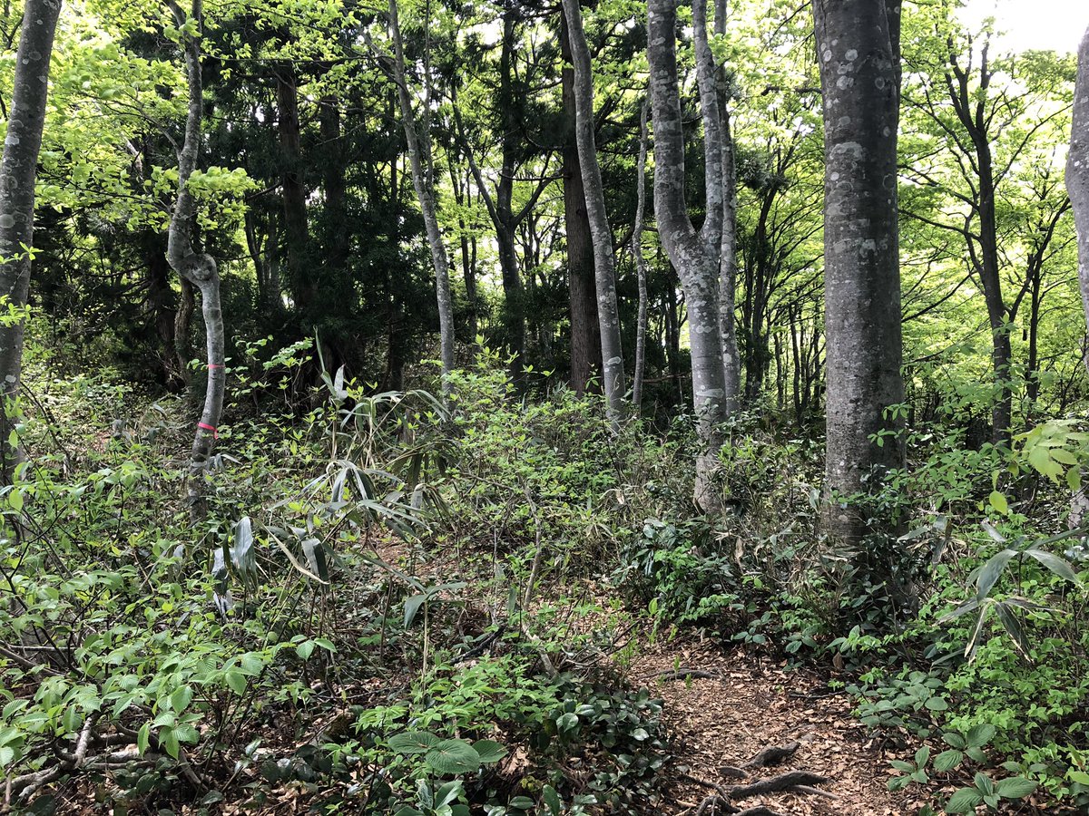 f:id:akiranngo:20190517171505j:plain f:id:akiranngo:20190517171505j:plain