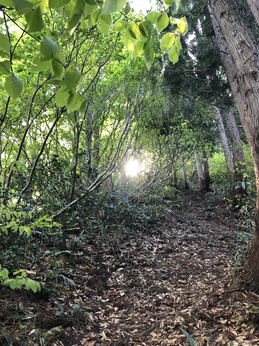 f:id:akiranngo:20190519143457j:plain