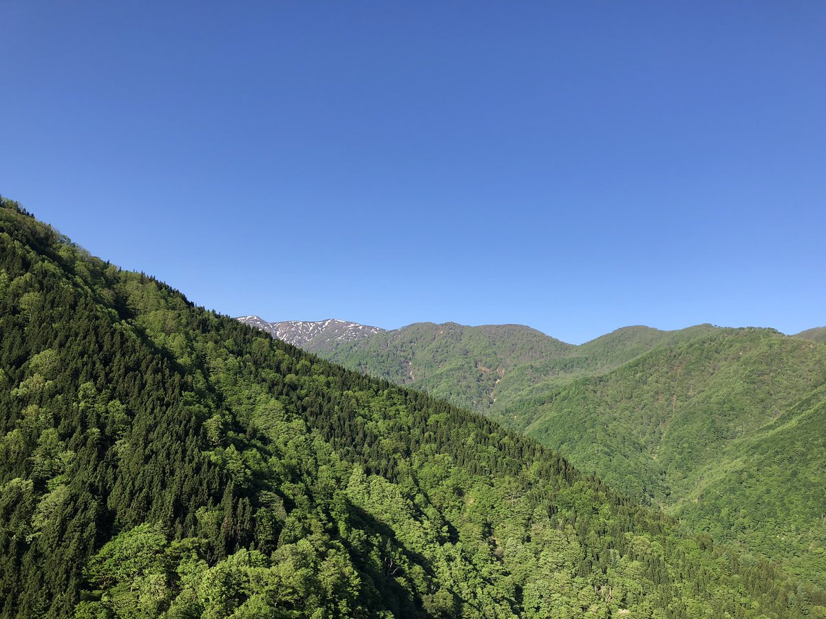 f:id:akiranngo:20190519143503j:plain