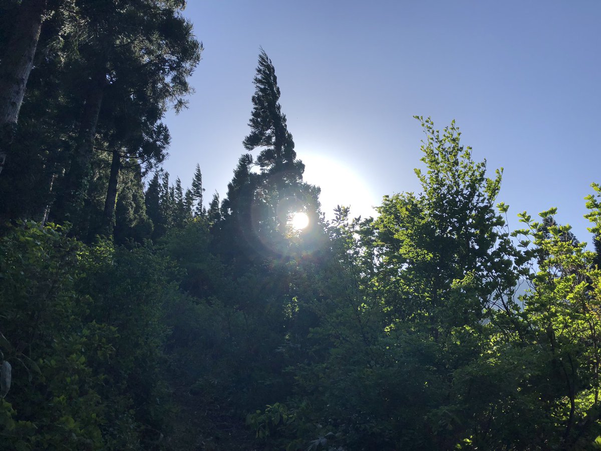 f:id:akiranngo:20190519143558j:plain