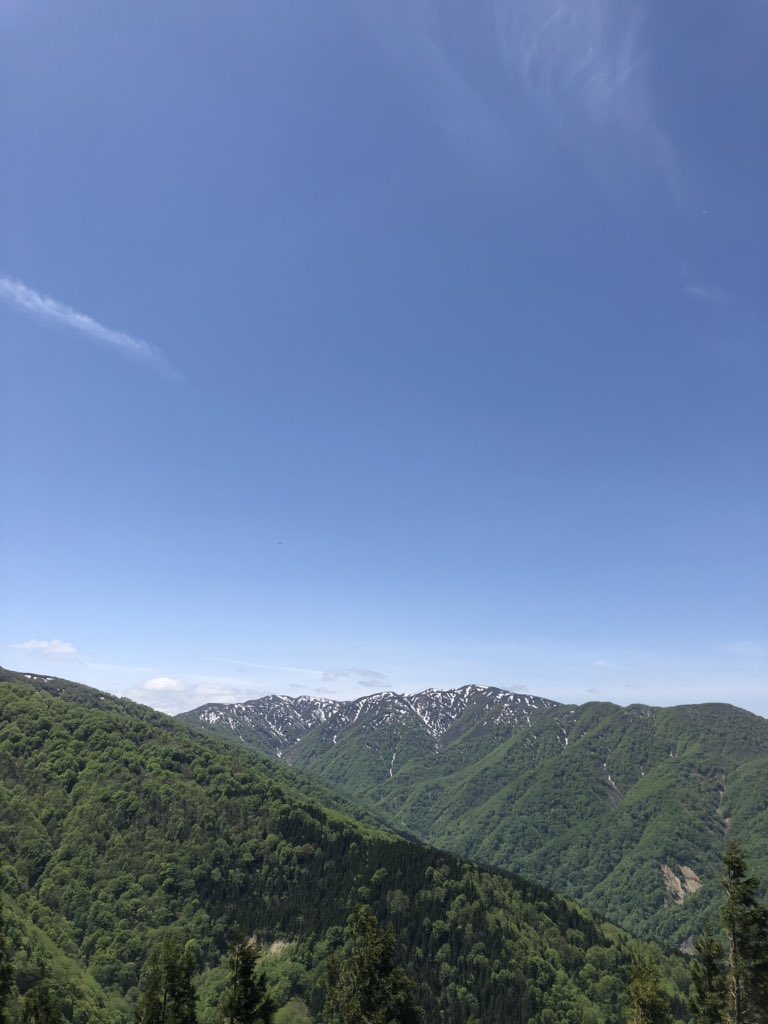 f:id:akiranngo:20190519144221j:plain