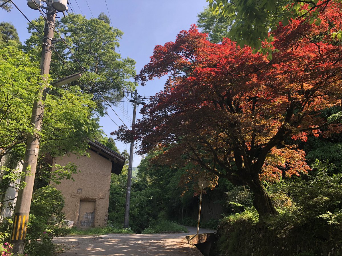 f:id:akiranngo:20190521153821j:plain