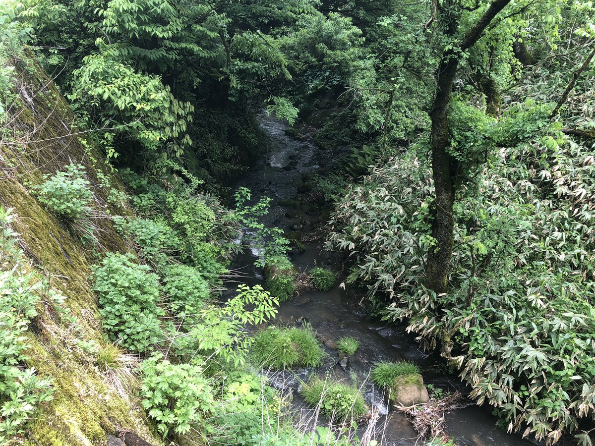f:id:akiranngo:20190521155850j:plain