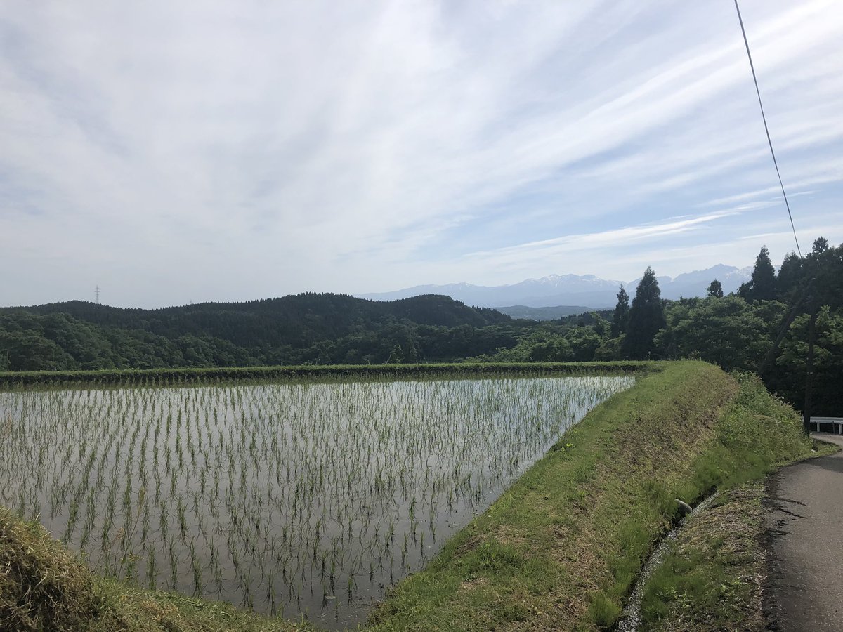 f:id:akiranngo:20190522110945j:plain f:id:akiranngo:20190522110945j:plain