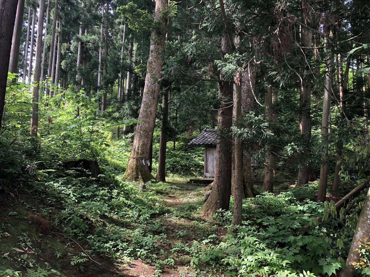 f:id:akiranngo:20190522125805j:plain f:id:akiranngo:20190522125805j:plain