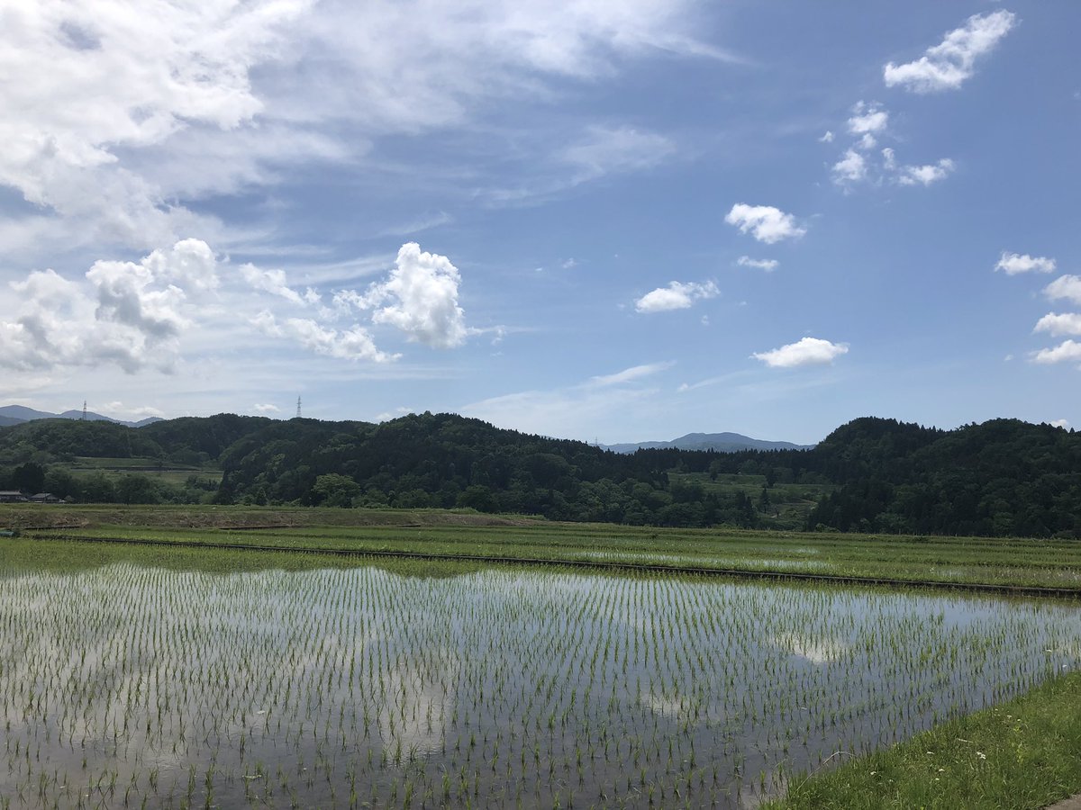 f:id:akiranngo:20190522130400j:plain f:id:akiranngo:20190522130400j:plain