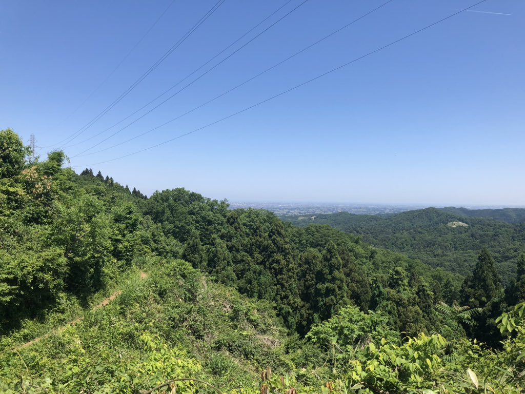 f:id:akiranngo:20190525154423j:plain