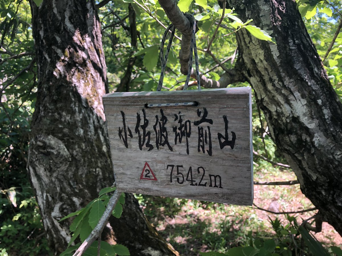 f:id:akiranngo:20190525154549j:plain