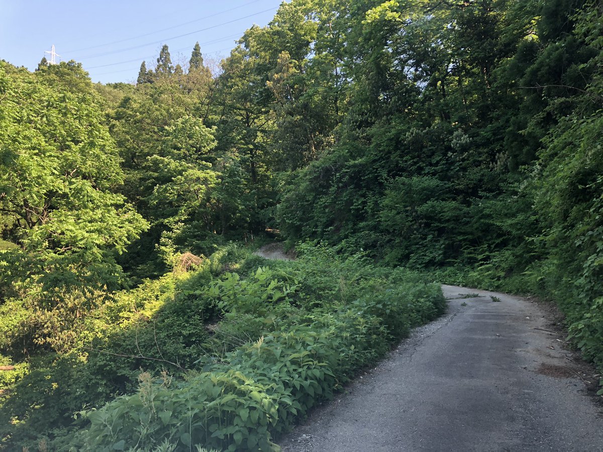 f:id:akiranngo:20190525194625j:plain f:id:akiranngo:20190525194625j:plain