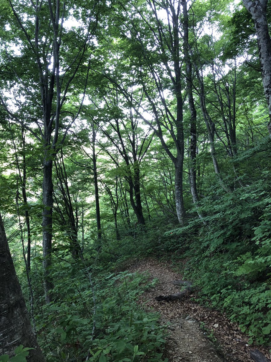 f:id:akiranngo:20190603192410j:plain f:id:akiranngo:20190603192410j:plain