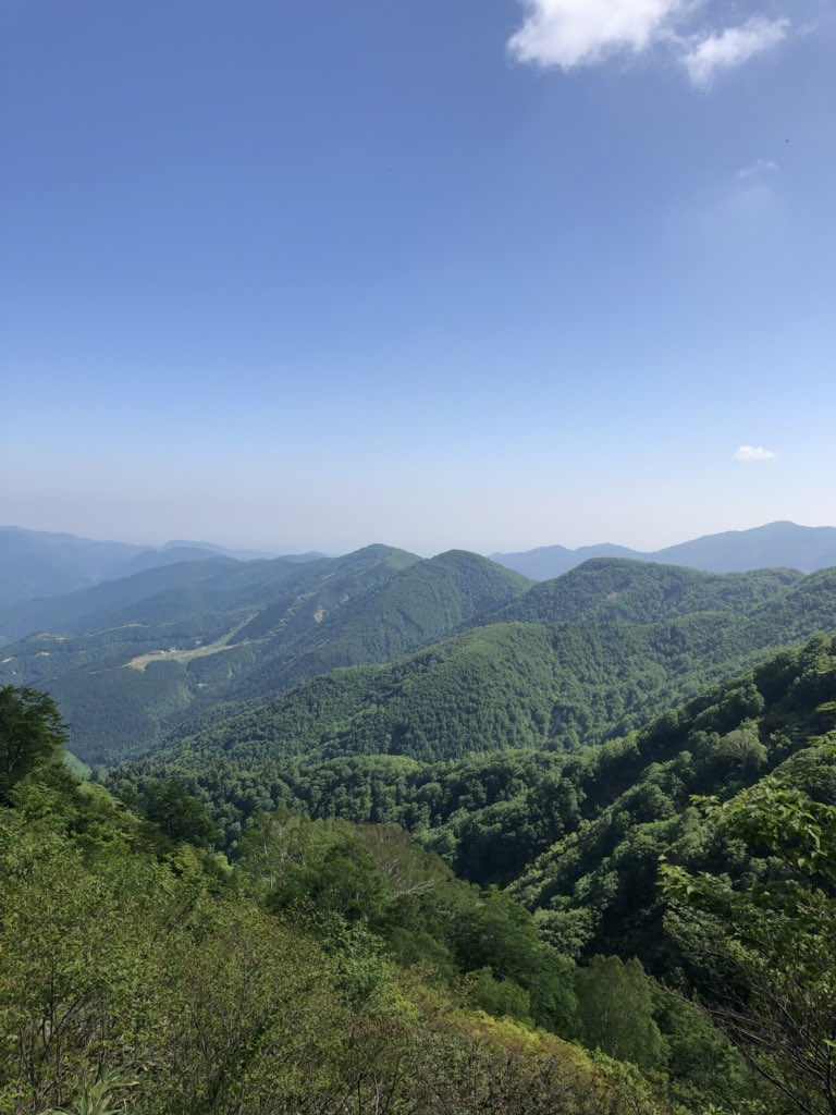 f:id:akiranngo:20190603192838j:plain f:id:akiranngo:20190603192838j:plain