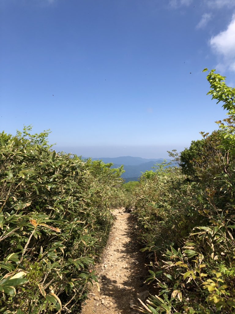 f:id:akiranngo:20190603192917j:plain f:id:akiranngo:20190603192917j:plain