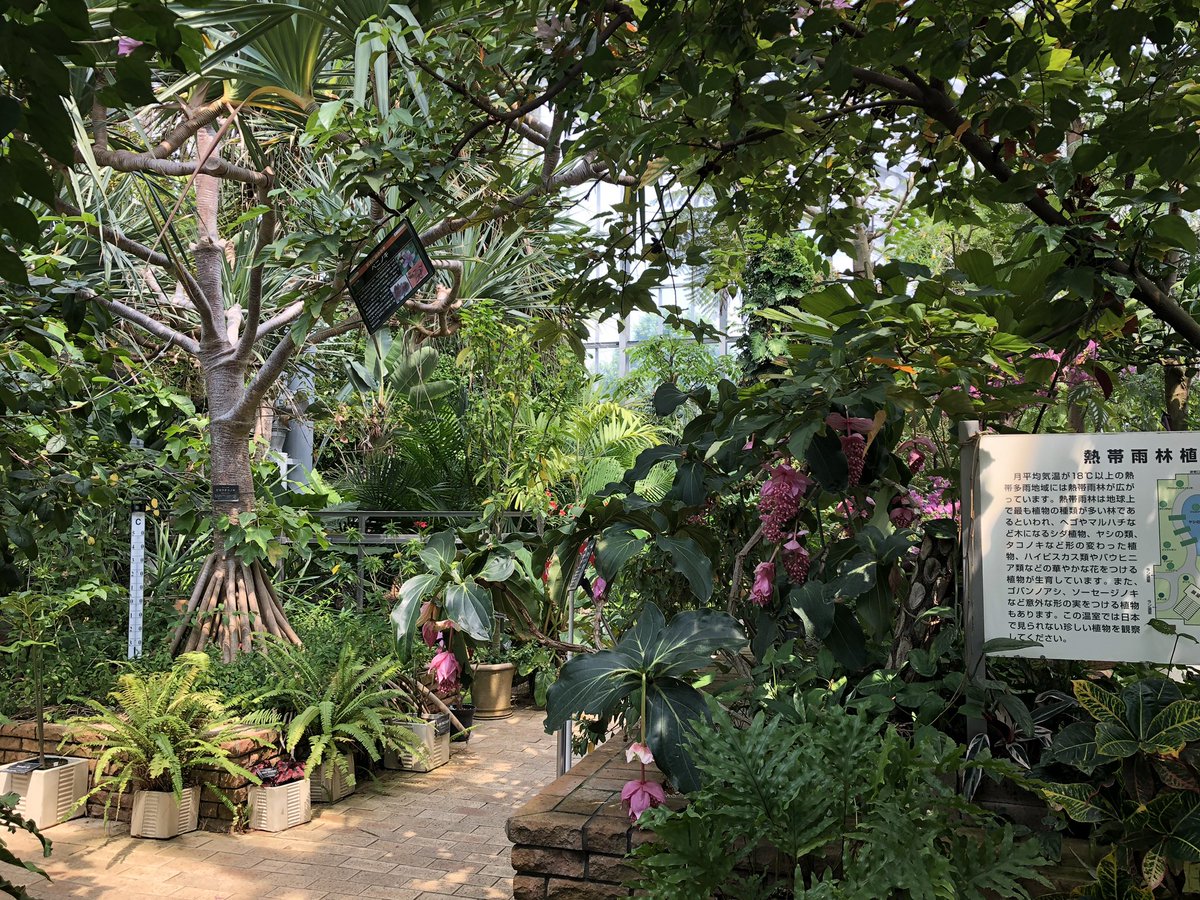 f:id:akiranngo:20190605190854j:plain f:id:akiranngo:20190605190854j:plain