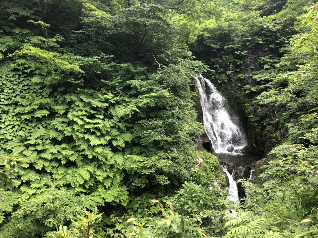 f:id:akiranngo:20190613210311j:plain f:id:akiranngo:20190613210311j:plain