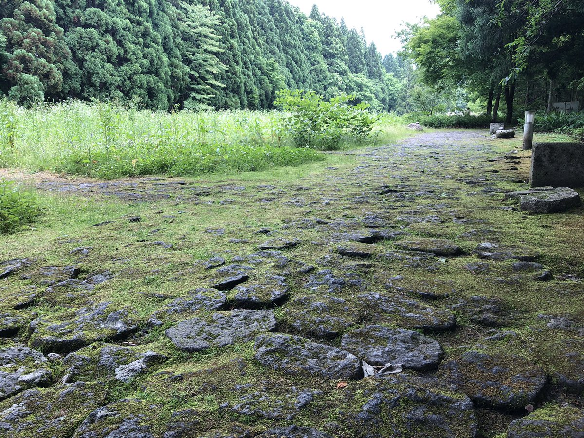 f:id:akiranngo:20190620164903j:plain