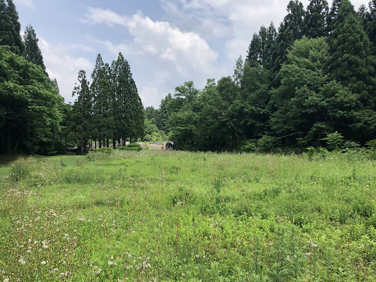 f:id:akiranngo:20190620164949j:plain