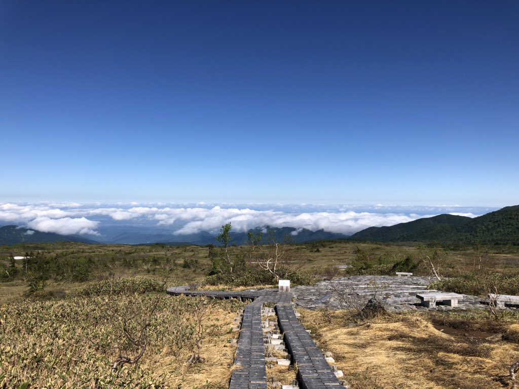 f:id:akiranngo:20190625174738j:plain f:id:akiranngo:20190625174738j:plain